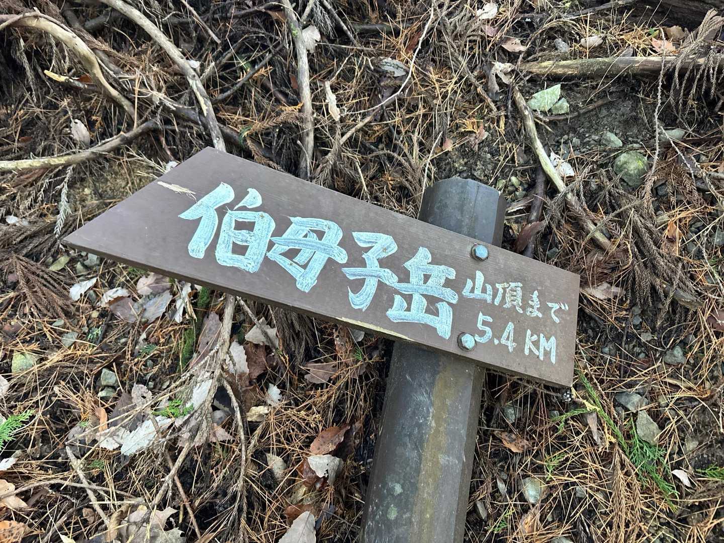 頑張ります！