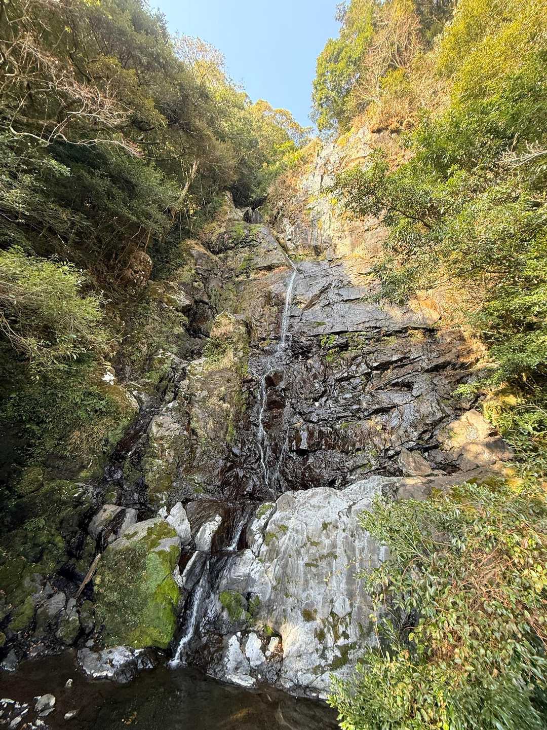 紫尾山 周回コースの写真