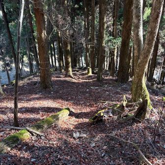 名残惜しいけど終了