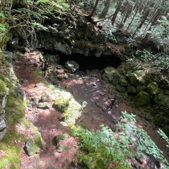 すごい大きい
そして冷蔵庫のような冷気が…
先に降りた友が小さく見えます