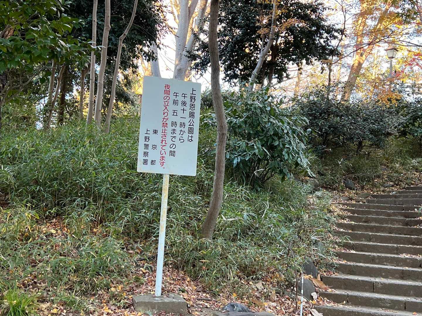 こちらを登って…