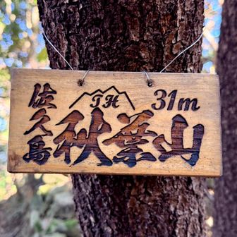 秋葉山登頂⛰️