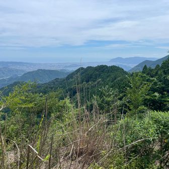 少し登った鉄塔エリアから、振り返って海を眺める。