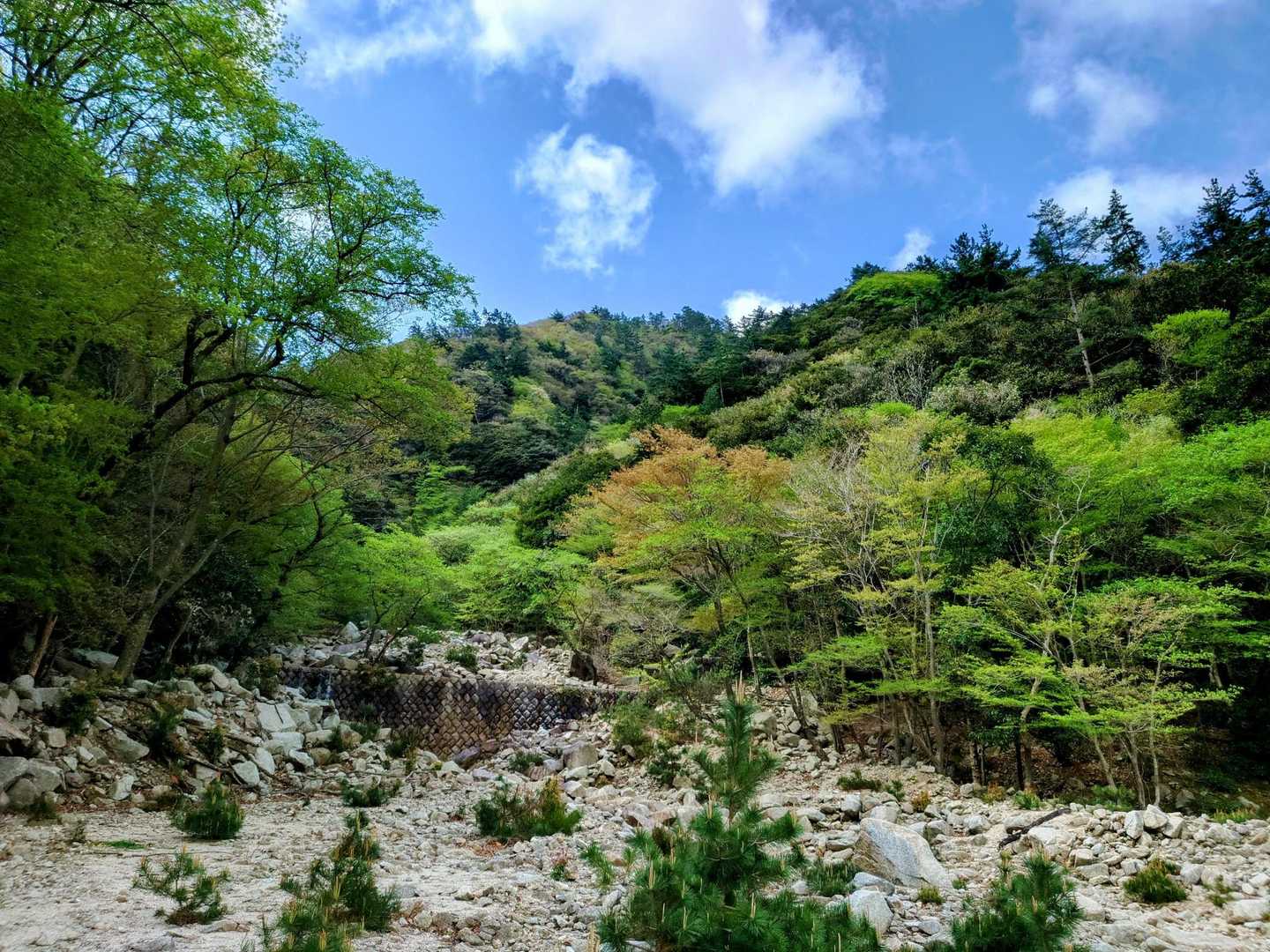 ま、何度も来たことあると諦めも早いもんです😝