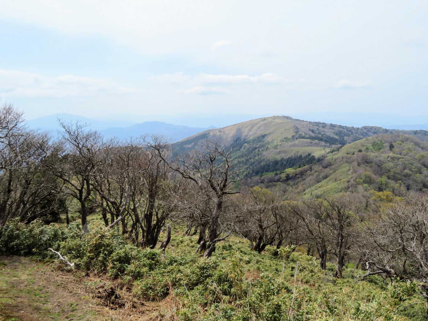 駒の尾山への稜線、気持ちよさそう🤗
（今回は行けませんでしたが、是非歩いてみたい所です）