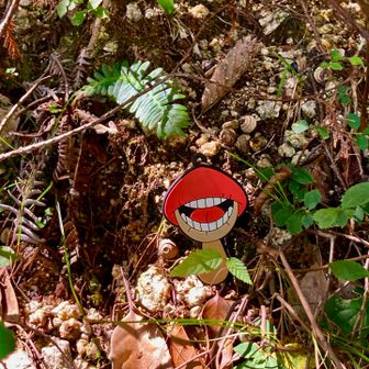 🍄毒きのこ😅