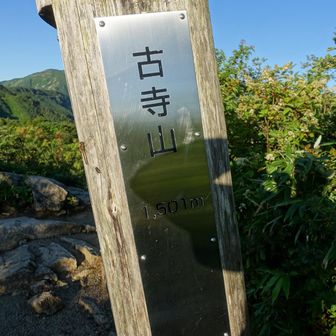 本日2座目
写真が斜めっているわけではない