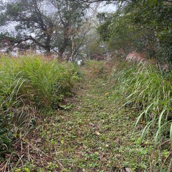 奥の道を登って頂上の看板を目指すことに！