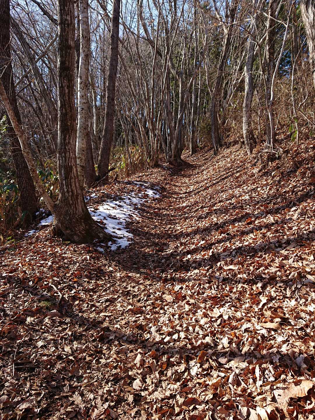 鈴宇峠-鹿狼山 往復コースの写真