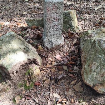 こういう石がたくさん登山道にありました　文字はいろいろ　石のてっぺんが赤に塗ってあるものが多かったです