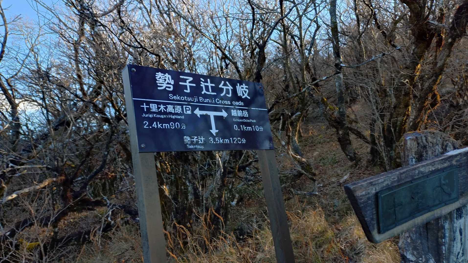 十里木-越前岳 往復コースの写真