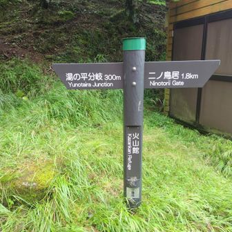 分岐に戻ります