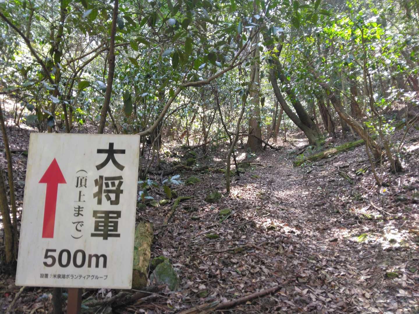 地元の方に愛されてるお山やねー