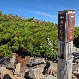 お次のサシルイ岳へ⛰️
