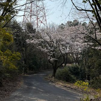 牧場へ行きます( * ॑꒳ ॑*)