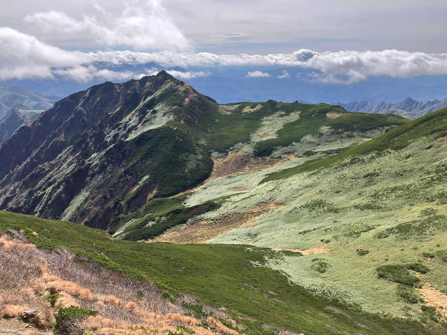 半面山-雲峰山-芦別岳 往復コースの写真