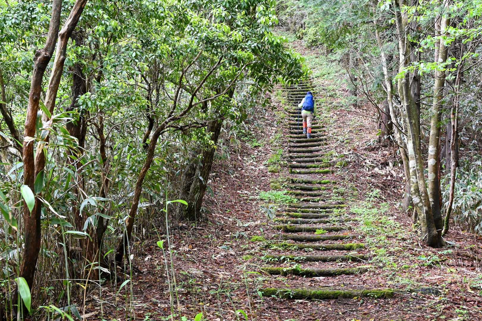 階段が脚に堪える