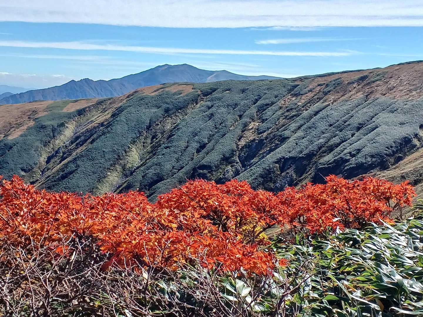 紅葉🍁と梶川尾根と奥に本山✨