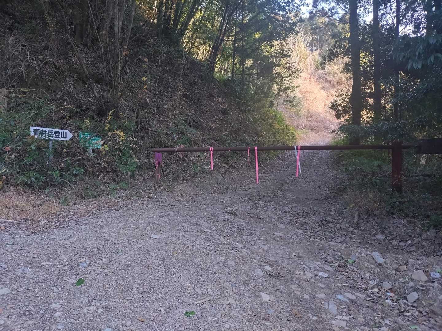 ここが登山口🙌🏻出発💨
