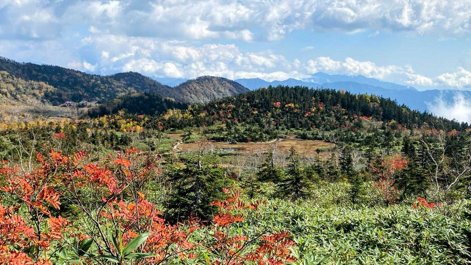 浮島湿原を見下ろします。右奥は、高妻山と戸隠山でしょうか？