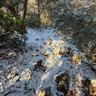 すれ違いの男性に聞いてた
　山頂手前の積雪注意箇所⚠️ここやな💦
　　　登りかと思ったら下りやねん😰