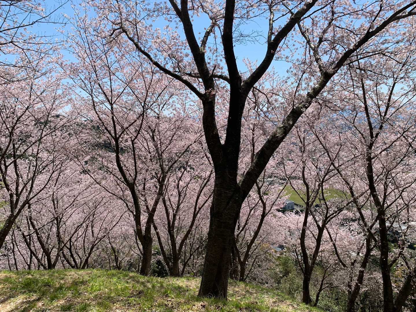 着きました。
これから白岳まで行って戻ります。
それより先は行きません。