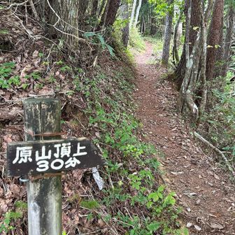 では再び原山へ🥾