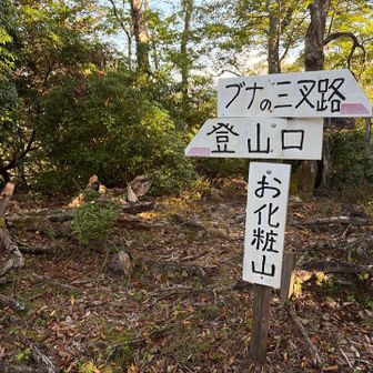 一座目のお化粧山
山頂というか急登斜面が少し落ち着く踊り場みたいな所