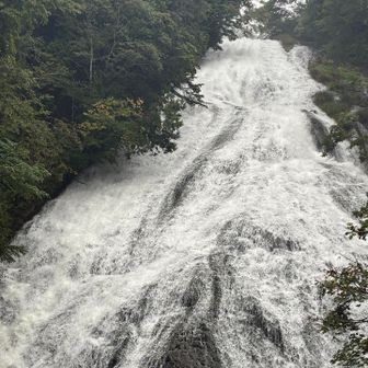 すごー😵　滝沿いに階段あるよ，登ります