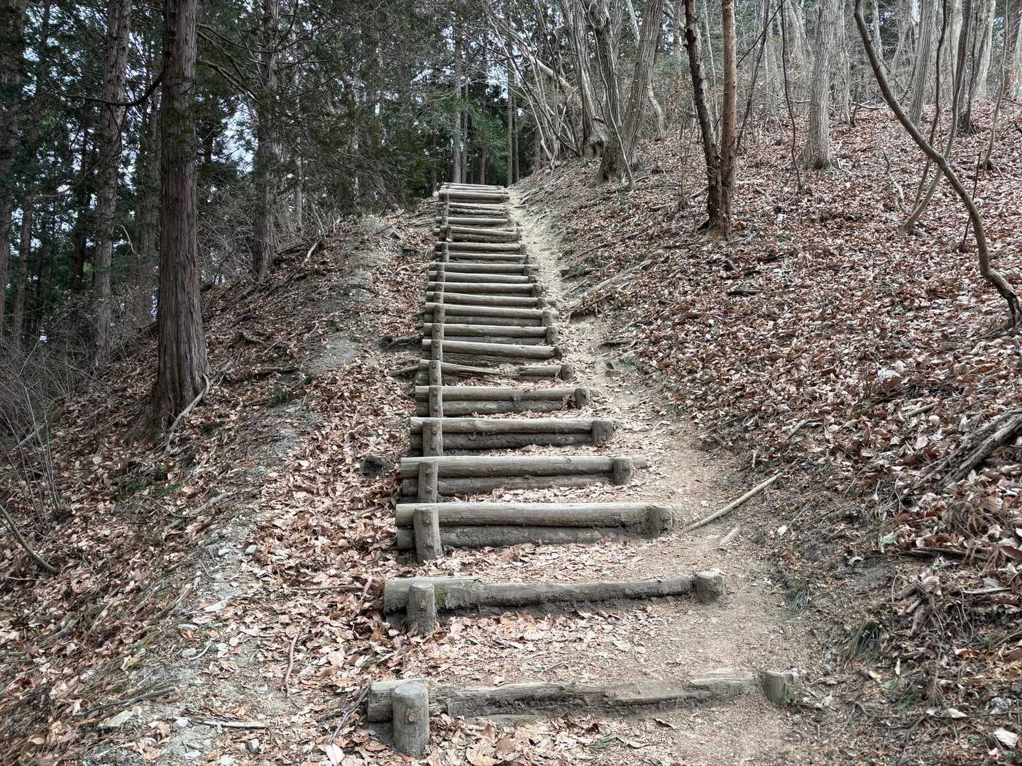 もう階段嫌(涙目)