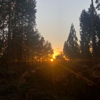 ウエストマウンテン🐻