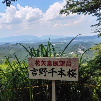 ここからも金剛山や大和葛城山見えます