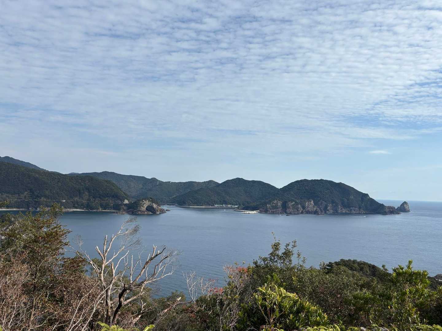やっぱりいいね👍✨
