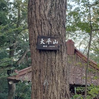 太平山城址
とは言っても物見櫓が在っただけらしい🔭