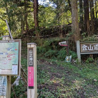 本格的に登山道🥾
山之神社の参道になります🙏