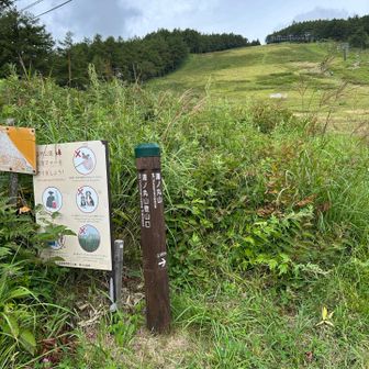ゲレンデ登りからスタート。