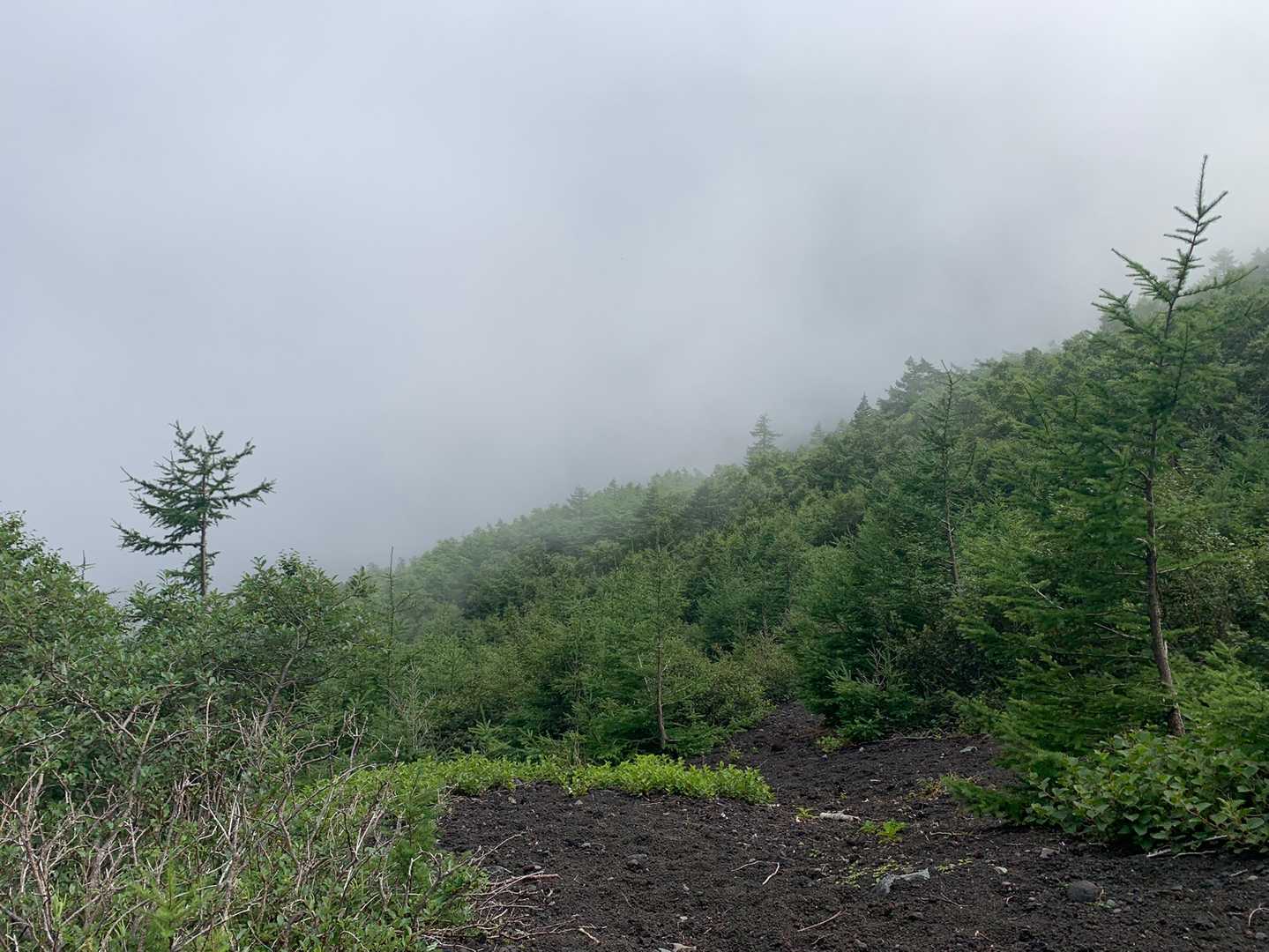 富士山 周回コースの写真