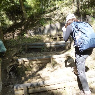 登山道、階段上ります。