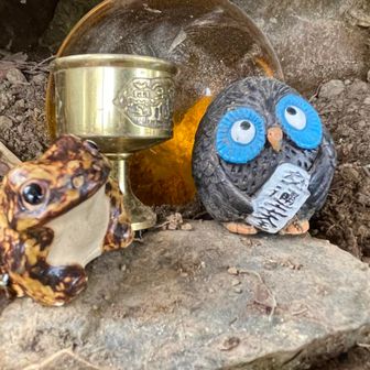 山頂でもヌシ様🦉🐸と小っちゃいものクラブの密談🤫🤣
後ろにドラゴンボール🐉があるんよね🤭