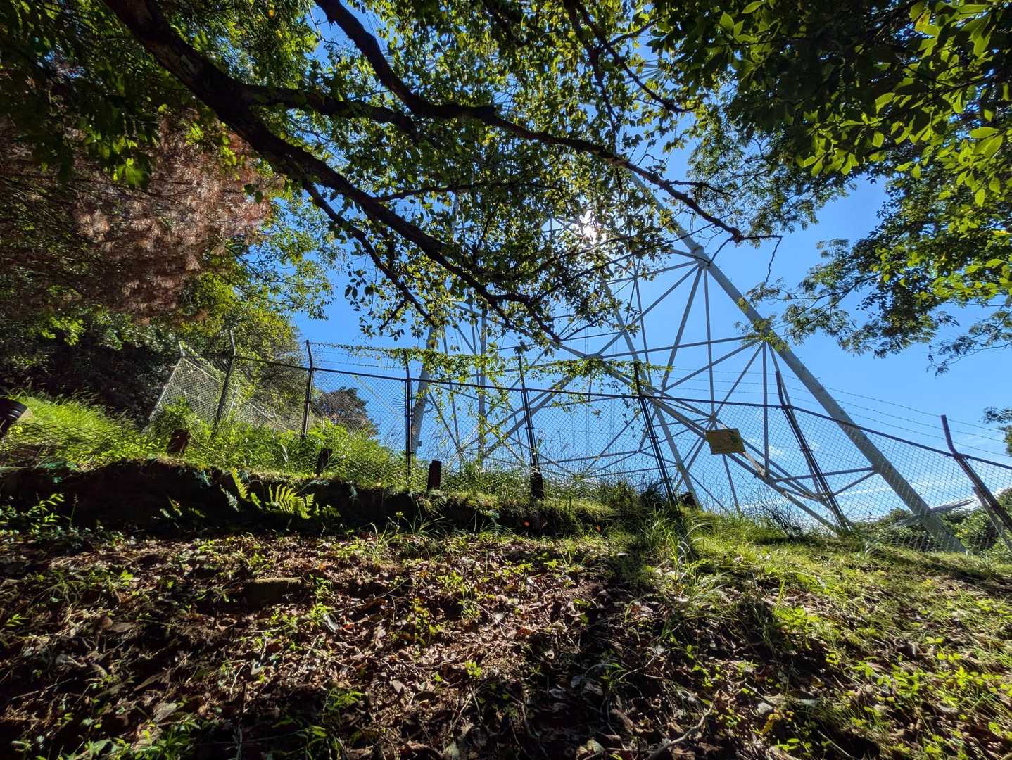 時々樹林帯が切れて青空が見える
久々の快晴だ✨
お昼からでも登れるお山が近くにあるのって素晴らしい