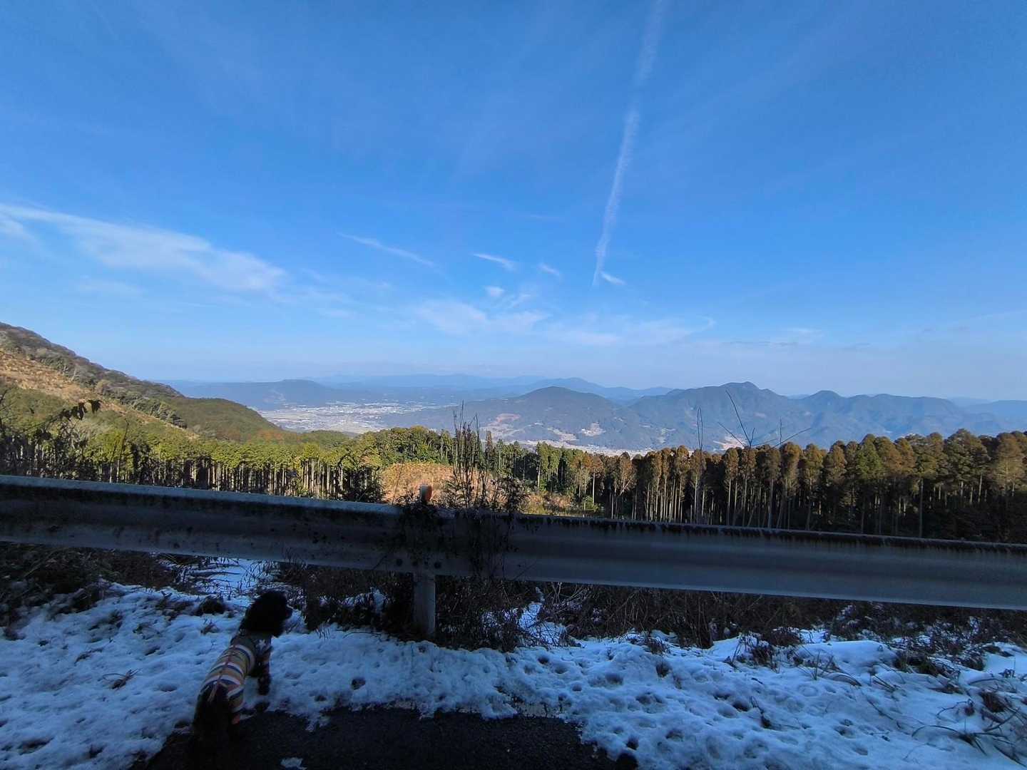 帰りに黒髪山が綺麗に見える場所がありました。
また黒髪山にも行きたいですね。
🐕🐾🐾🐾🐾
