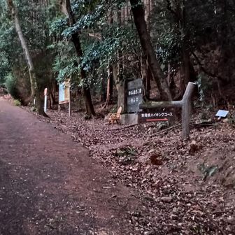 東坂コース登山口…増位山に行きます