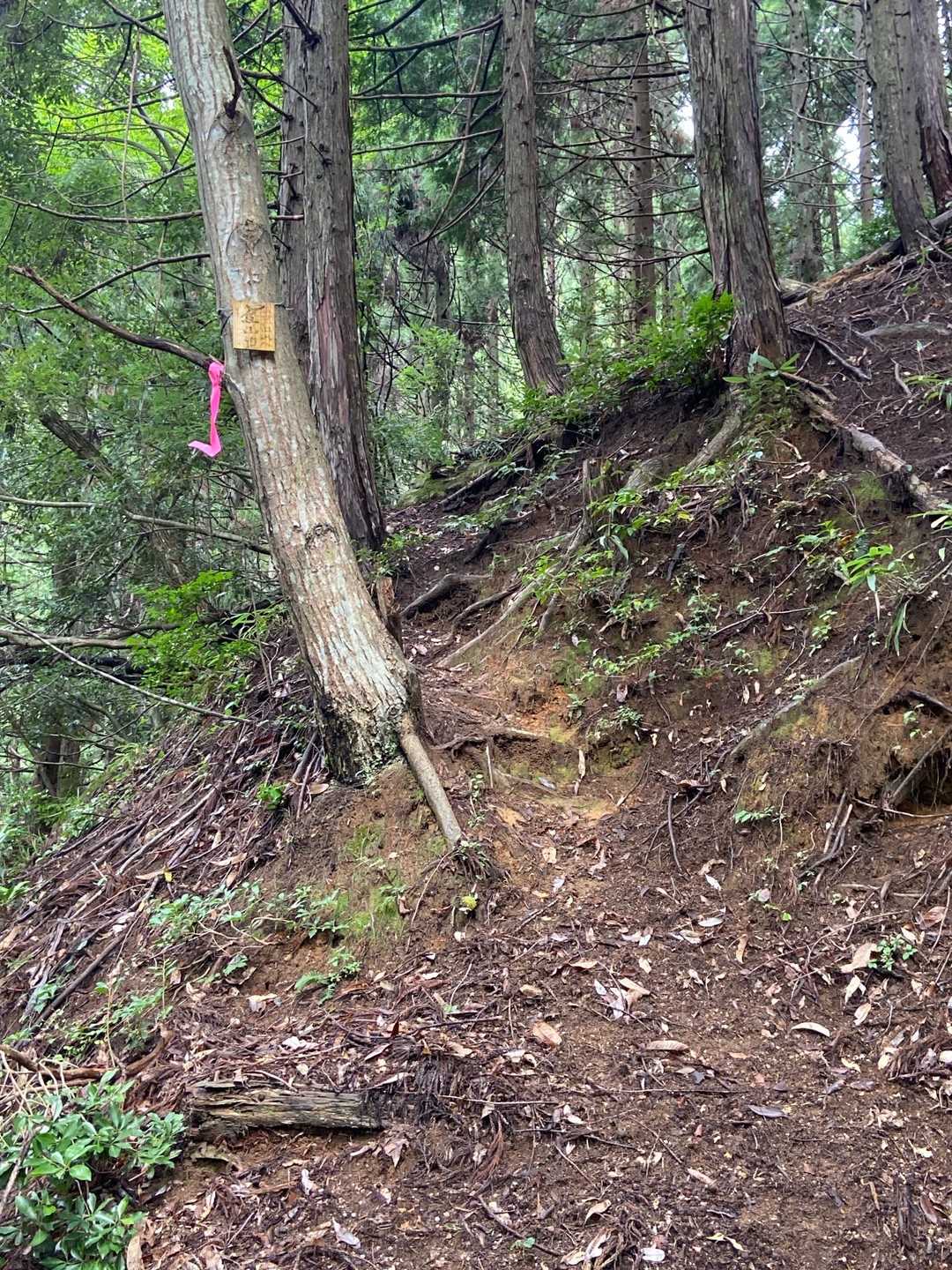 ここから山の中へ入っていきます⛰️