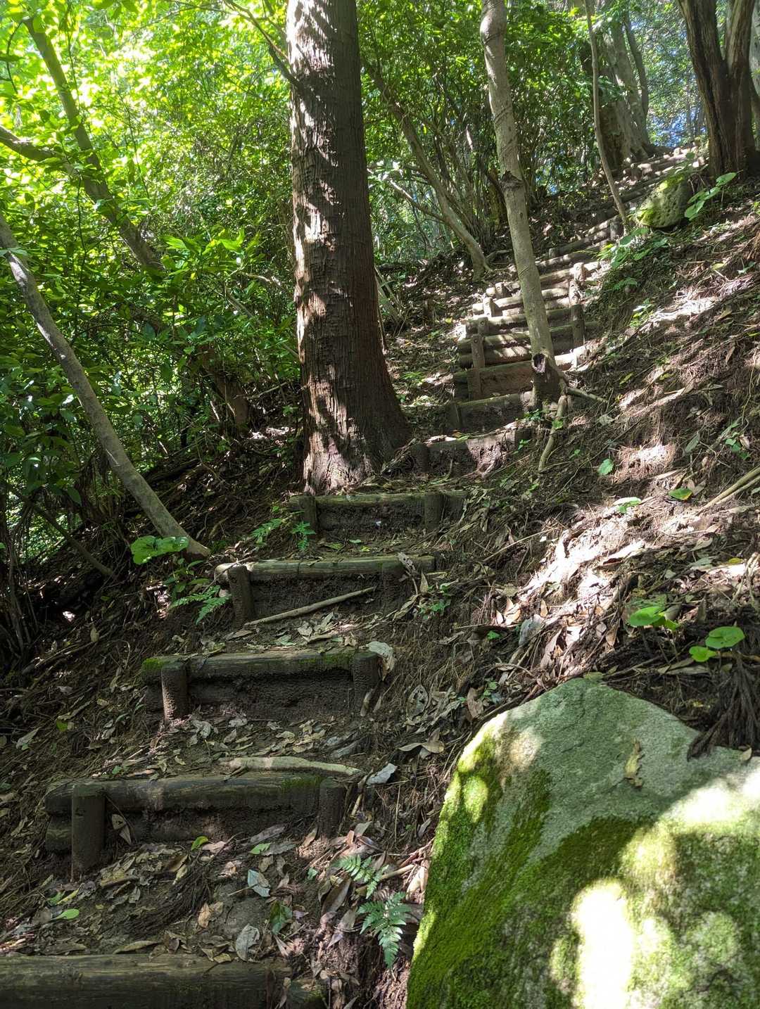 この登山道、眺望ないのか！てか階段しかないんか！
知ってたけど、登りで使うとなんて足にくる道や😂
しかも、一段が高かったり微妙に長かったり。