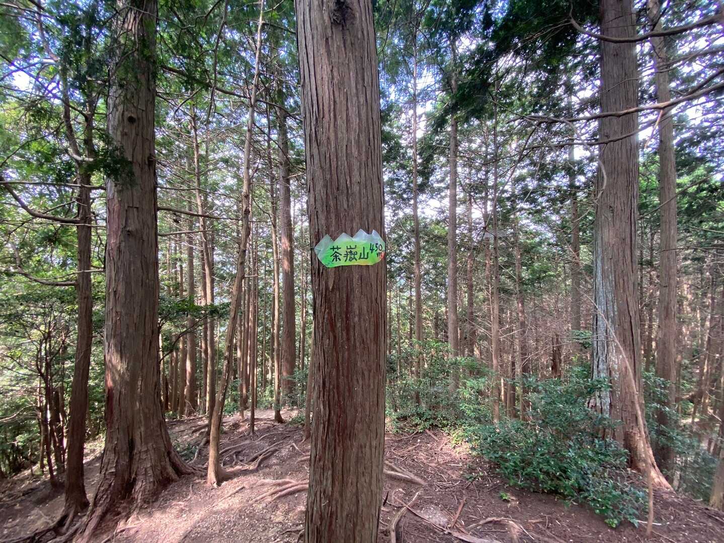 茶之岳山の写真