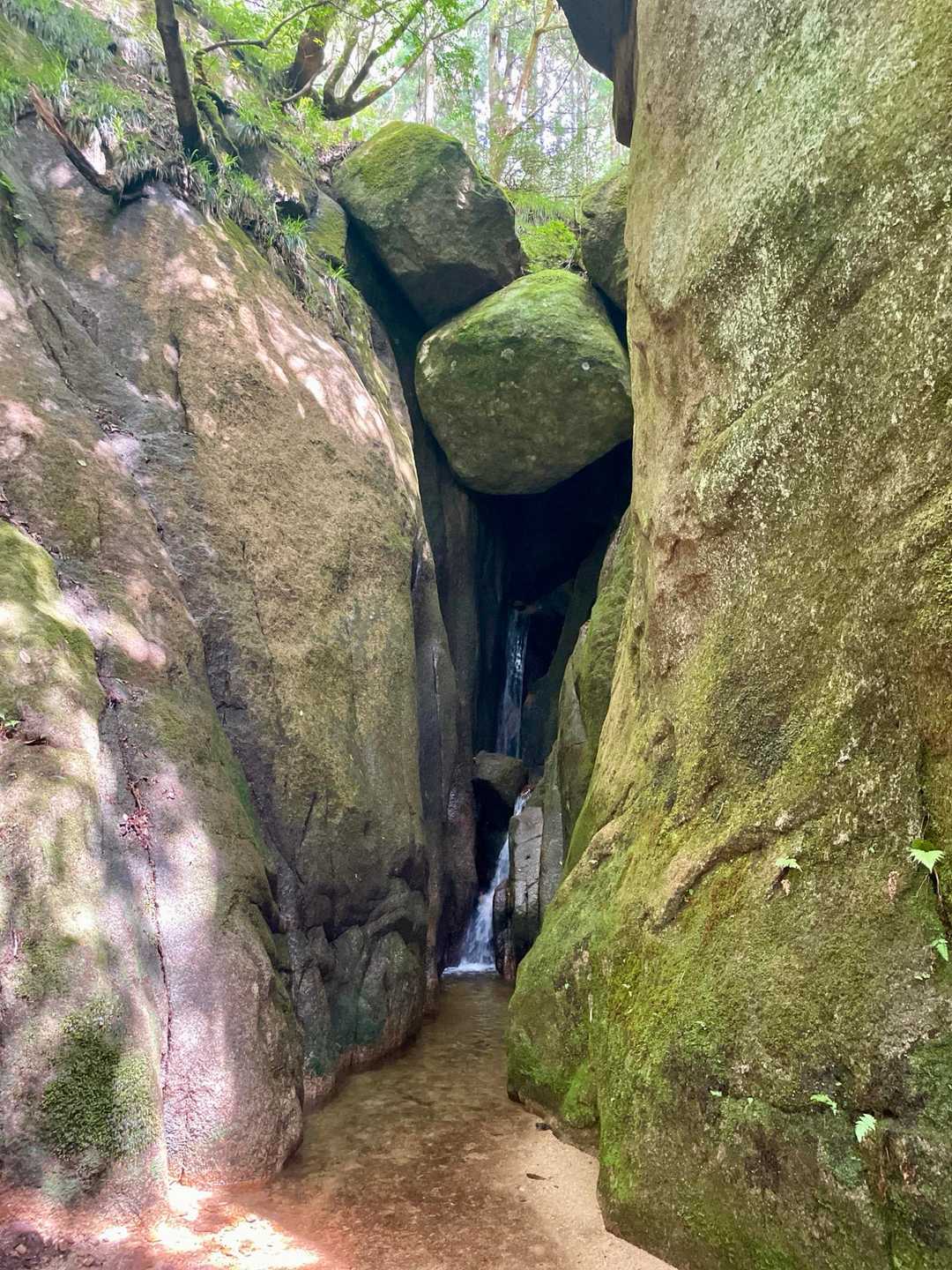 暗闇の奥から水が流れ出て、こちらも神秘的な雰囲気です✨