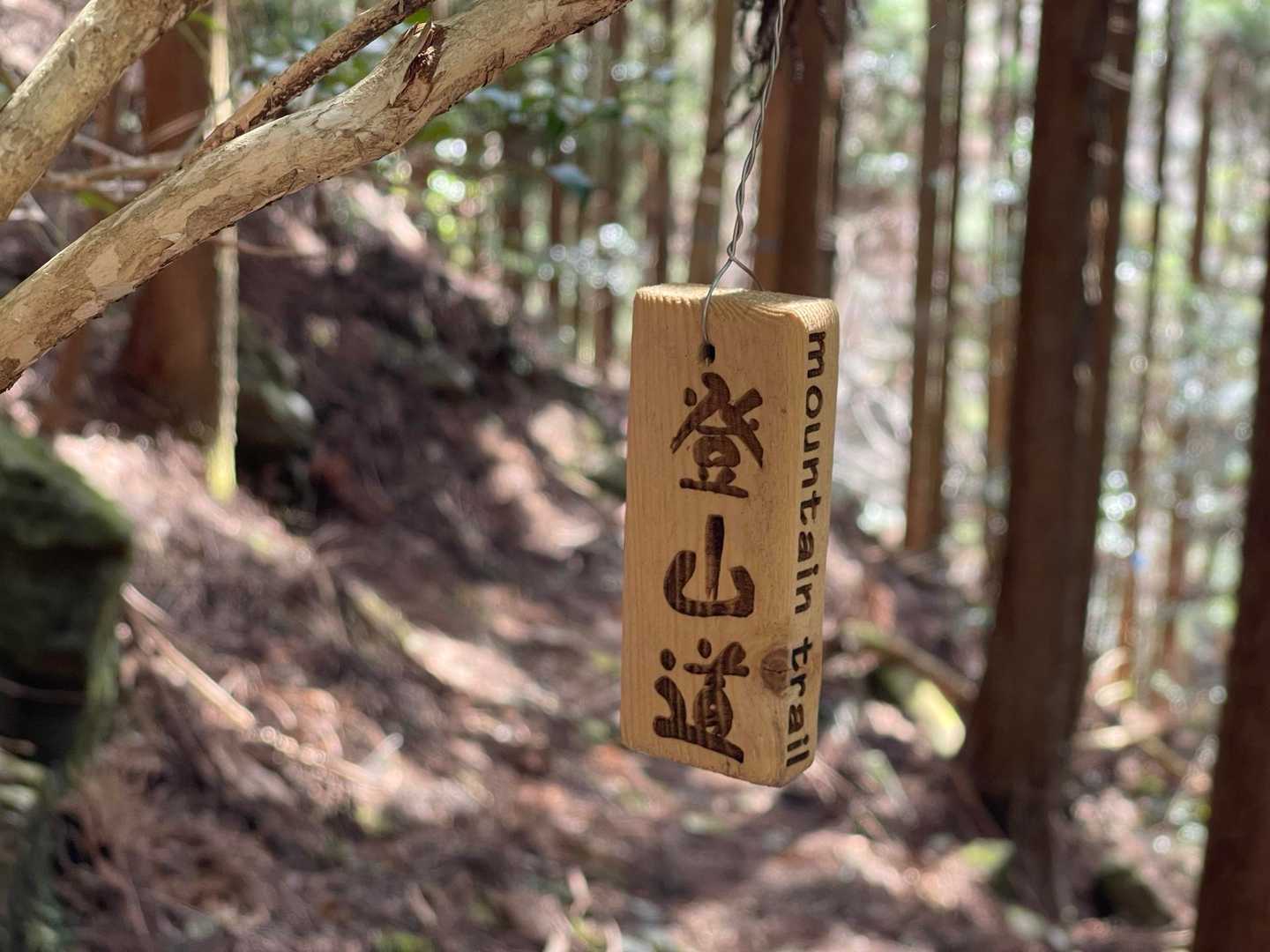 行きには気付きませんでしたが、ちょいちょいあります