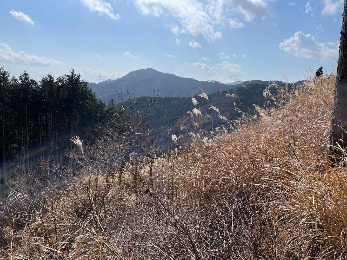 左手にきれいなピークが見えます