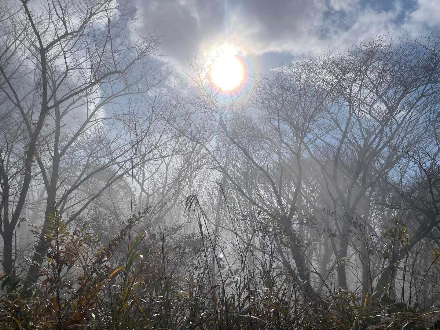 時々お日様☀️