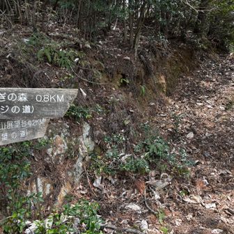 いろんな道があるけど、立ち入り禁止のところも多数